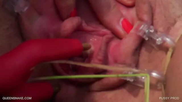 アメリカの大学生の最初のポルノビデオ 女の子 の ため エロ 動画
