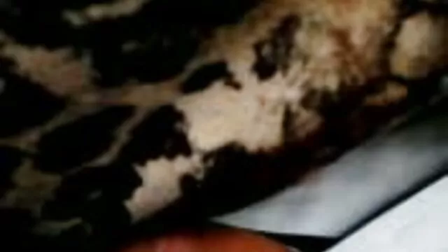 体温計を持つ看護師は、患者を治療します 女の子 むけ エロ 動画