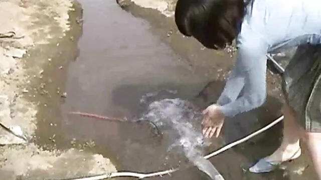 初めてのレズ体験 女の子 向け 無料 エロ 動画
